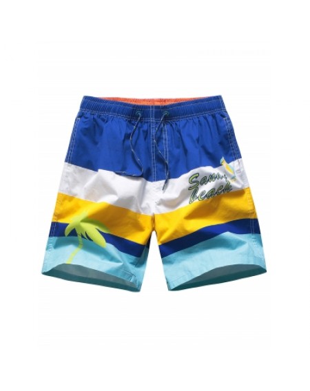 Color Block Board Shorts